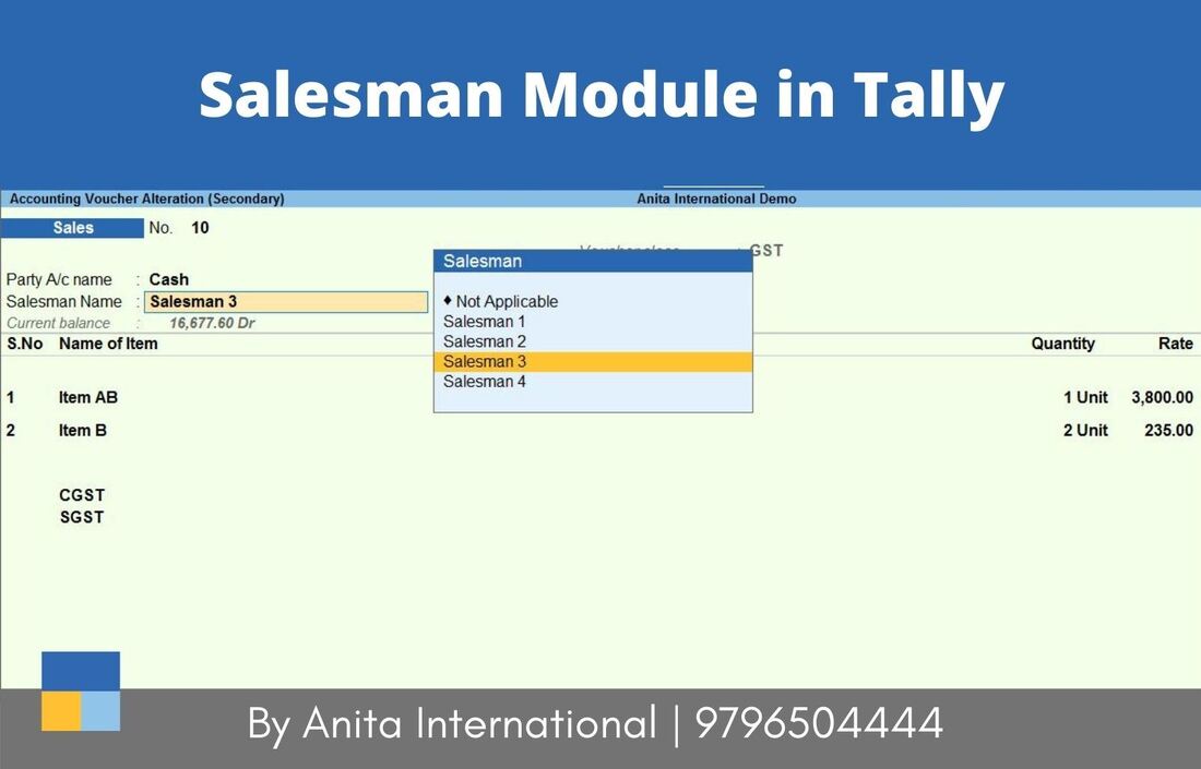 Salesman Module TDL